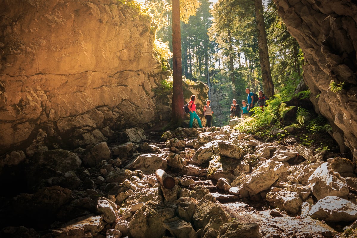 Park-šuma Golubinjak, Lokve