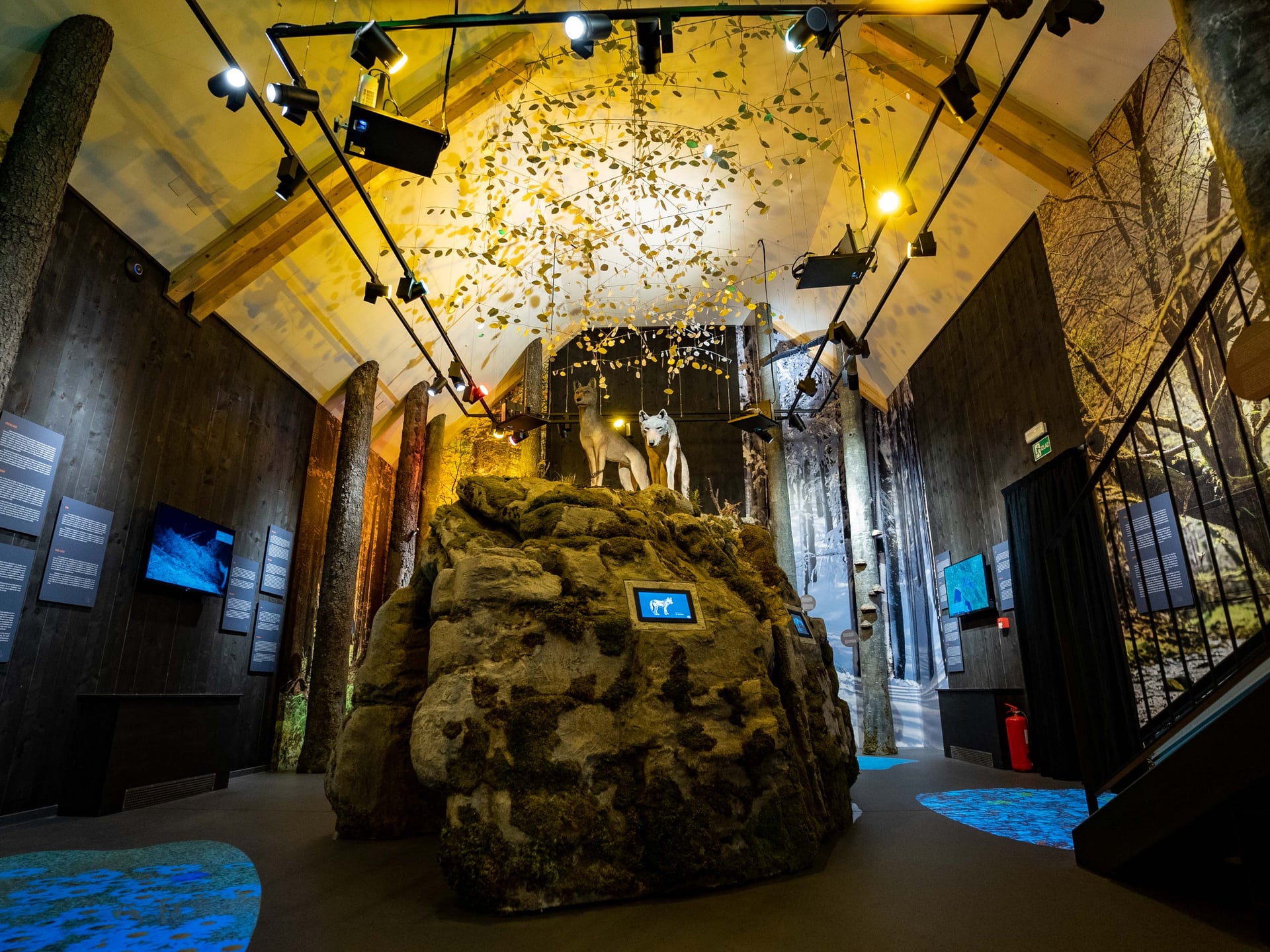 "Velike zvijeri", Stara Sušica